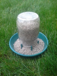 Кормушка (крышка под банку для молодняка)