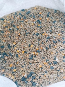 Зерносмесь цельнозерновая 25кг (ячмень+пшеница+кукуруза+семечка) 